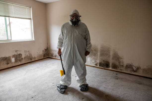 Forensic Mold Investigation in Middletown, DE